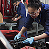 New Zealand Certificate in Automotive Engineering Level 3 course thumbnail image