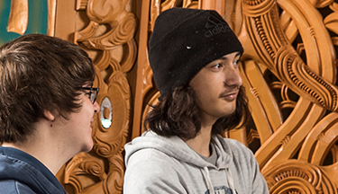 New Zealand Certificate in Te Reo Reo Rua Level 3 course thumbnail image