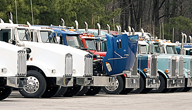 Class 4 Driver Licence course thumbnail image