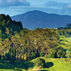 New Zealand Certificate in Māori Governance Level 4 course thumbnail image