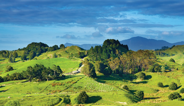 New Zealand Certificate in Māori Governance Level 4 course thumbnail image