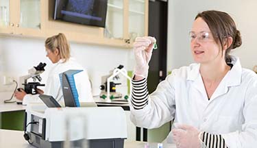 Master of Applied Professional Studies Infection Prevention and Control course thumbnail image