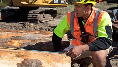 New Zealand Certificate in Forest Harvesting Operations Level 3 course thumbnail image