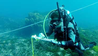 Marine biology student studying underwater life