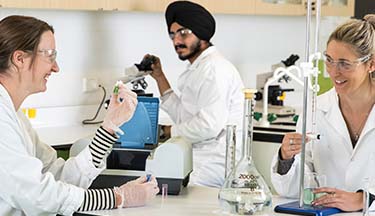Postgraduate students discussing an experiment