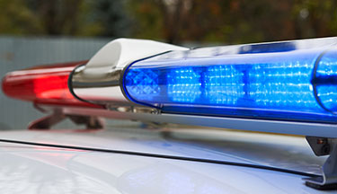 New Zealand Certificate in Study and Career Preparation Level 3 Police and Services pathway course image