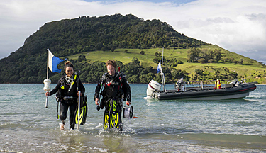 Marine scientists walking in the ocean at Mount Maunganui