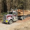 Log truck Log truck