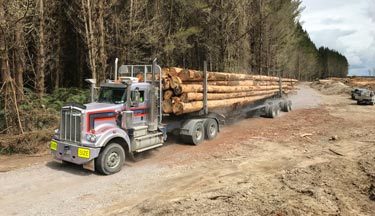 Log truck Log truck