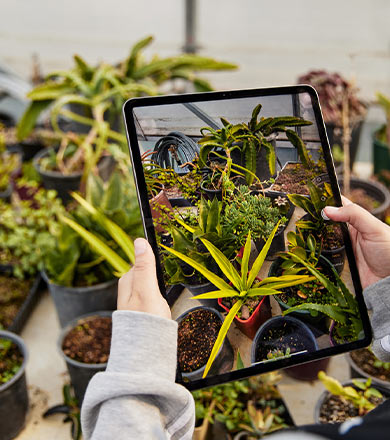 Horticulture student looking at plants through a tablet