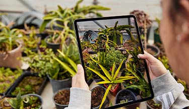 Horticulture student looking at plants through a tablet