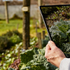 Organics student looking at plant through a tablet
