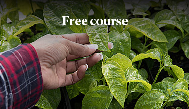 Horticulture student touching a leaf