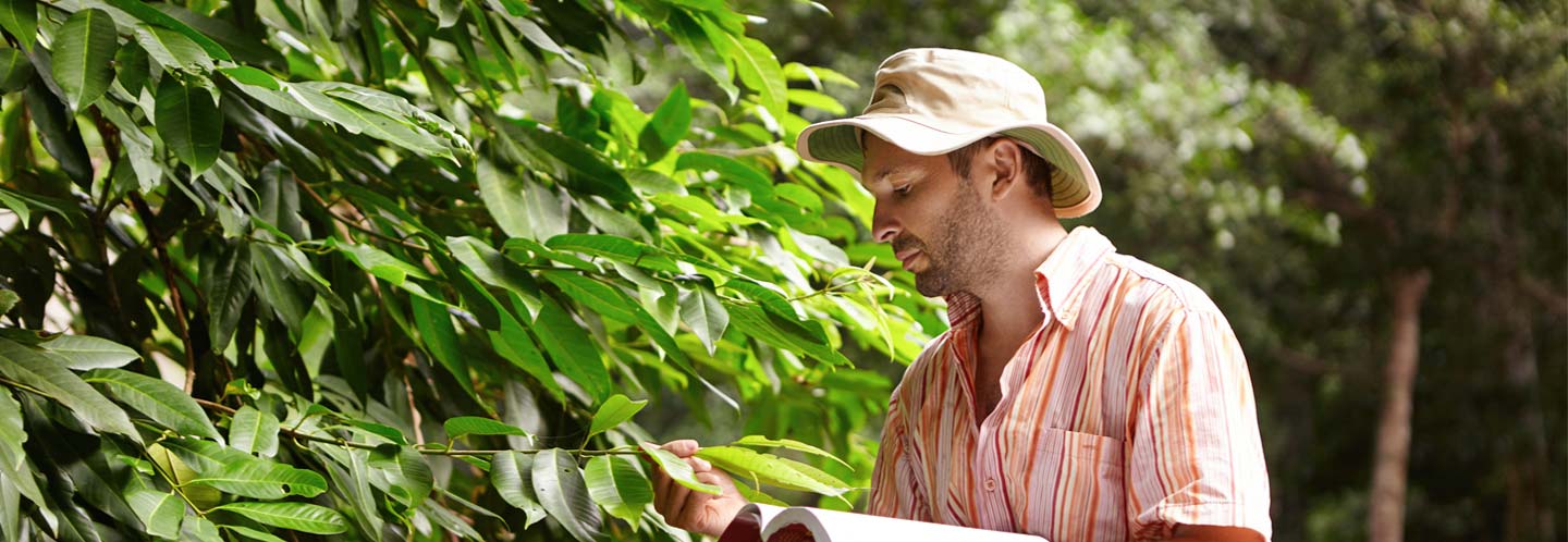 Environmental student examining a leaf