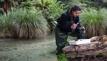 Environmental student examining a rock in a stream