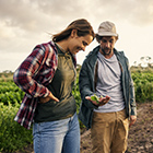 Horticulture students looking at crops