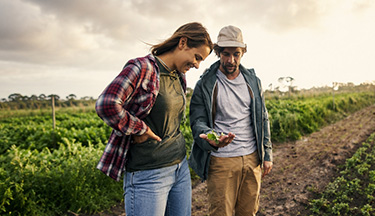 Horticulture students looking at crops