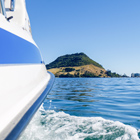 Boat sailing in the Tauranga Harbour