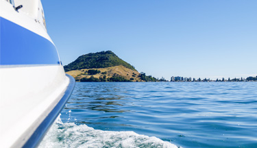 Boat sailing in the Tauranga Harbour