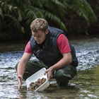 Environmental student taking samples from a stream