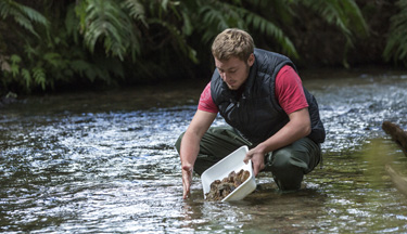 Environmental student taking samples from a stream