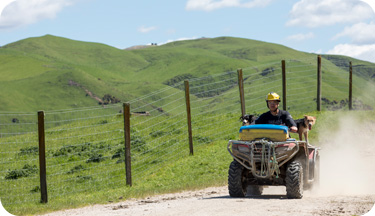 Agriculture