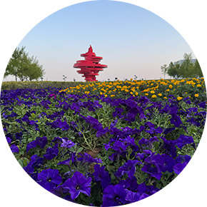 Chinese landscape