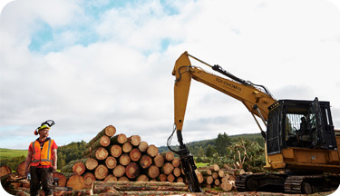 Forestry