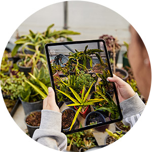 Horticulture