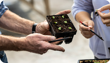 Horticulture