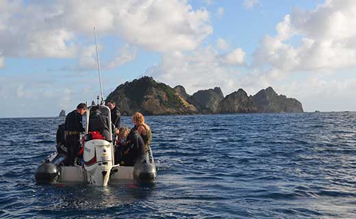 Marine studies field trip