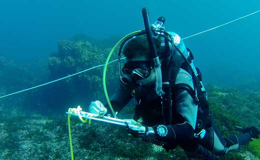 Marine studies field trip